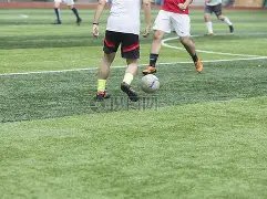 紐米航班延,誤影響歐聯,賽準備規則,香港赛马会,赛程安排,赛果查询,马匹资料,比赛分析