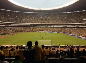 五十年跨越,的元旦奔跑,盛典,香港赛马会,赛程安排,赛果查询,马匹资料,比赛分析