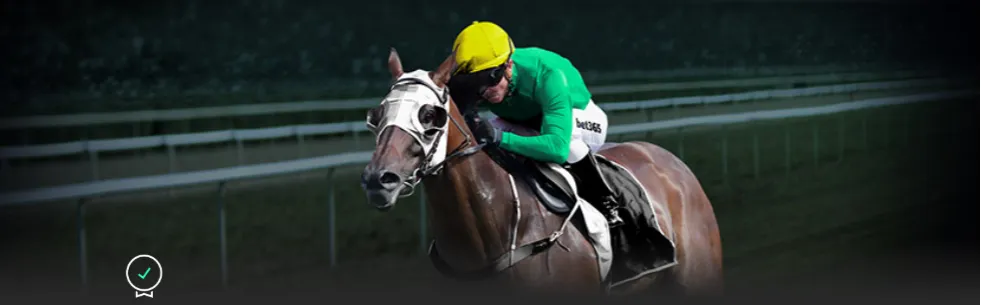 艾迪有望成,为申花新首,发中卫,香港赛马会,赛程安排,赛果查询,马匹资料,比赛分析