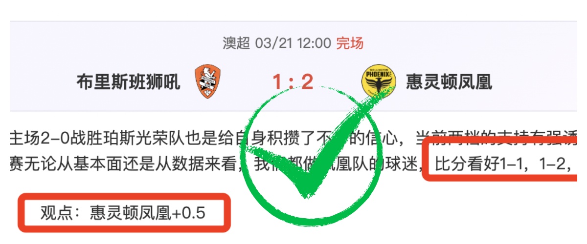 多特,横扫弗赖堡,哈兰德,香港赛马会,赛程安排,赛果查询,马匹资料,比赛分析